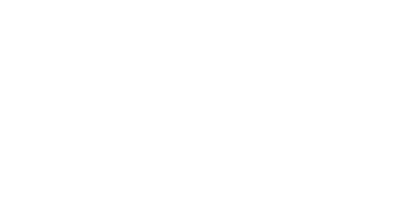 10+ Years Experience